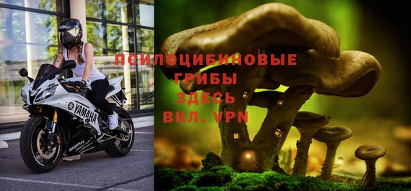 хмурый Богданович