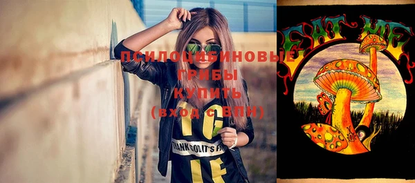 скорость Богородицк