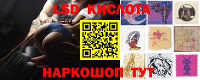 spice Заволжье