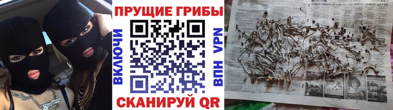 сайты даркнета какой сайт  как найти закладки  Малоярославец  Псилоцибиновые грибы Cubensis  мега вход 