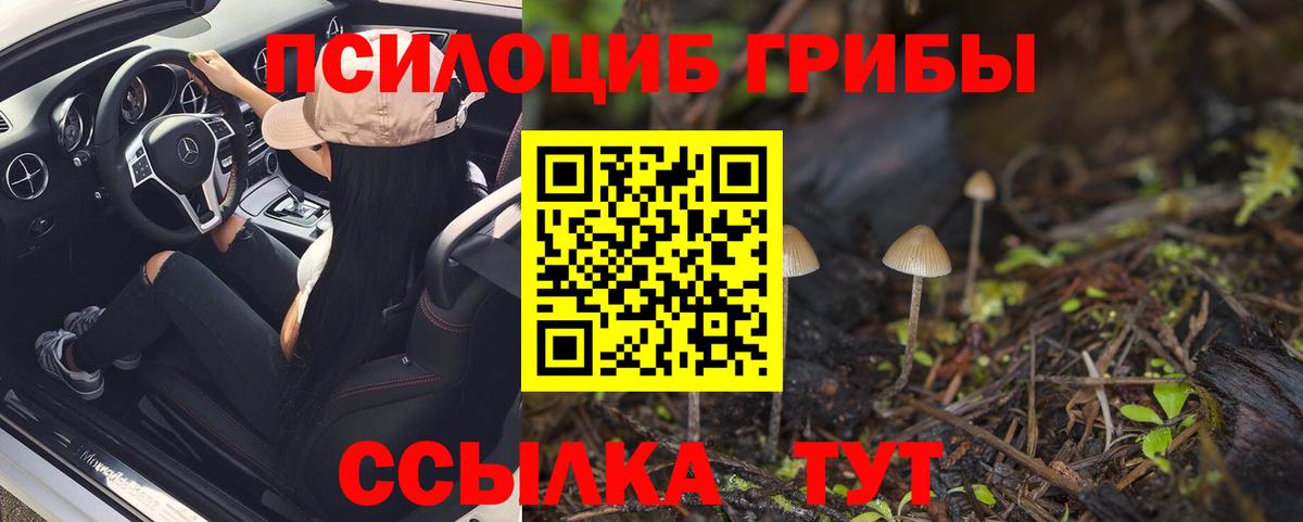 Малоярославец  Галлюциногенные грибы мухоморы  Вход с VPN  Галлюциногенные грибы мицелий 