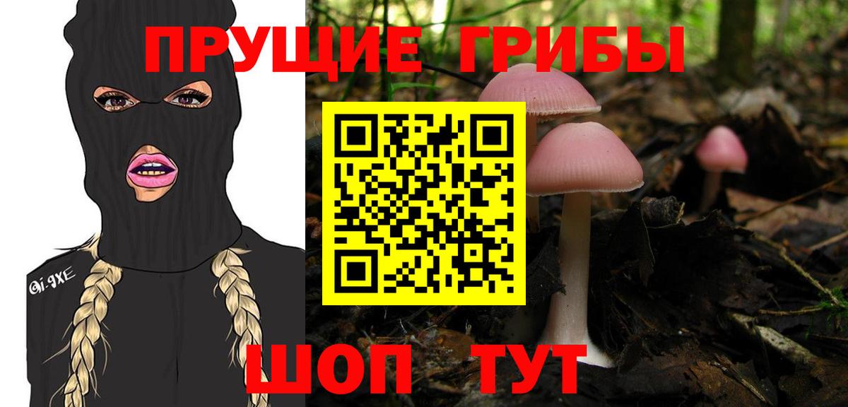 Галлюциногенные грибы GOLDEN TEACHER Малоярославец